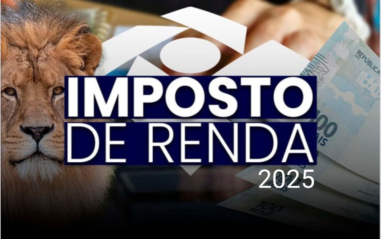 Imposto de Renda 2025: Quem Deve Declarar? - Blog